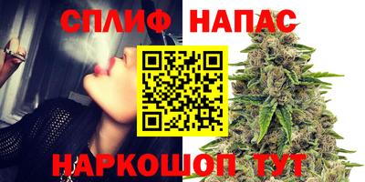 спиды Краснознаменск